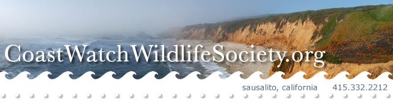 Coast Watch Wildlife Society
